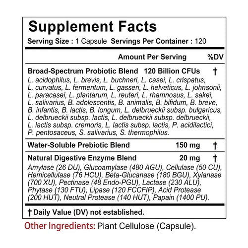 ENZBIO - Probiotics + Prebiotics + Digestive Enzymes - Promote Intestinal Flora Digestive Health Women & Men Provide Lasting Energy