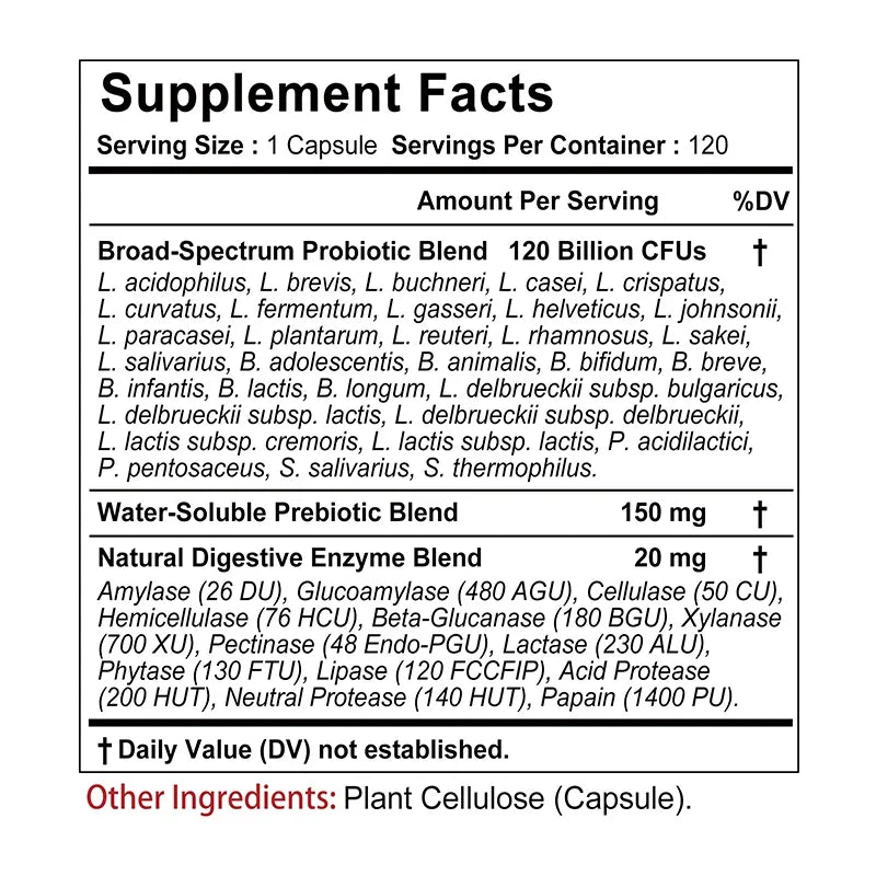 ENZBIO - Probiotics + Prebiotics + Digestive Enzymes - Promote Intestinal Flora Digestive Health Women & Men Provide Lasting Energy