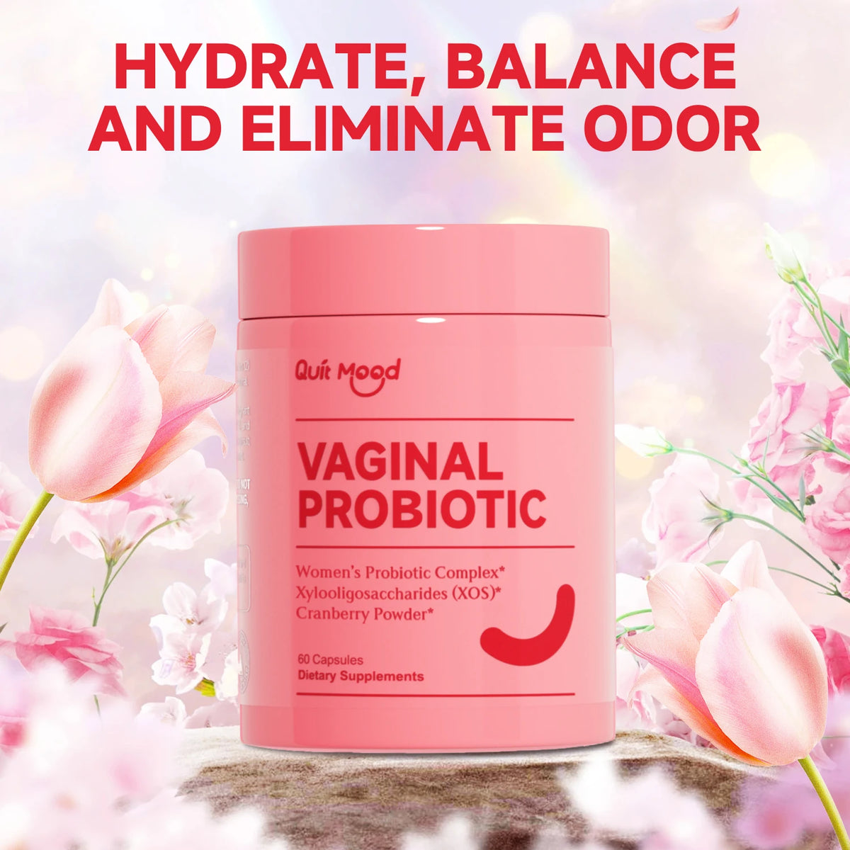 MoodVibe pB - Quit mood Probiotics for Women - PH Balance with Probiotics and Lactobacillus Probiotic Blend -